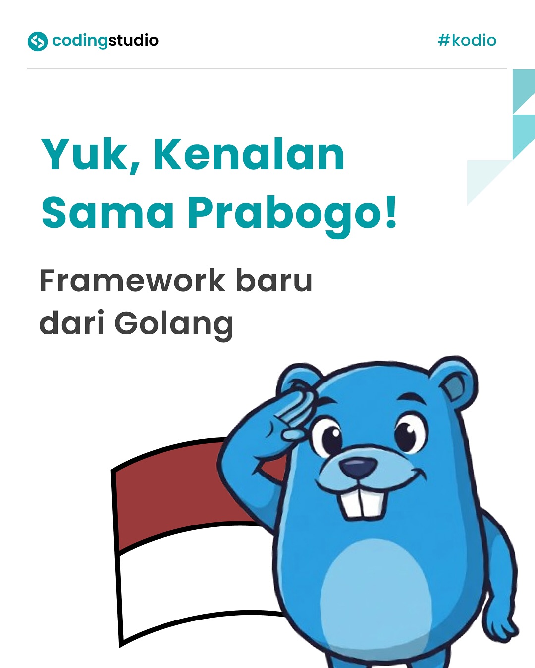 Coding Studio